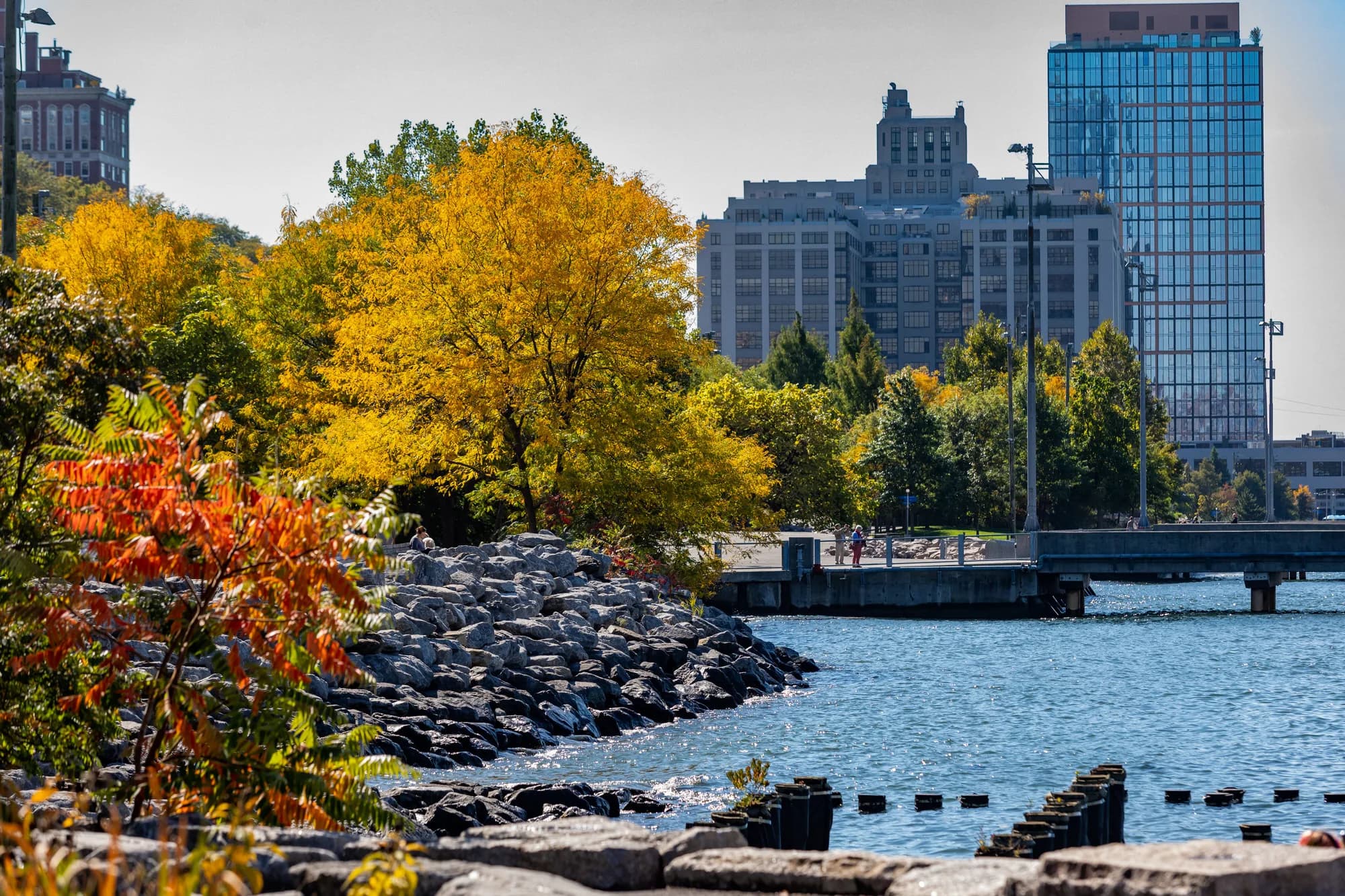 Brooklyn Bridge Park